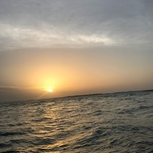 Meet your Posher, Brady